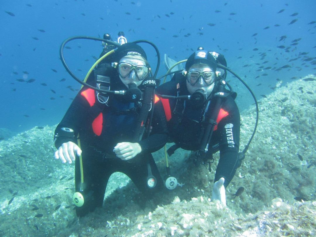 International Diving-Isola del Giglio必去景点