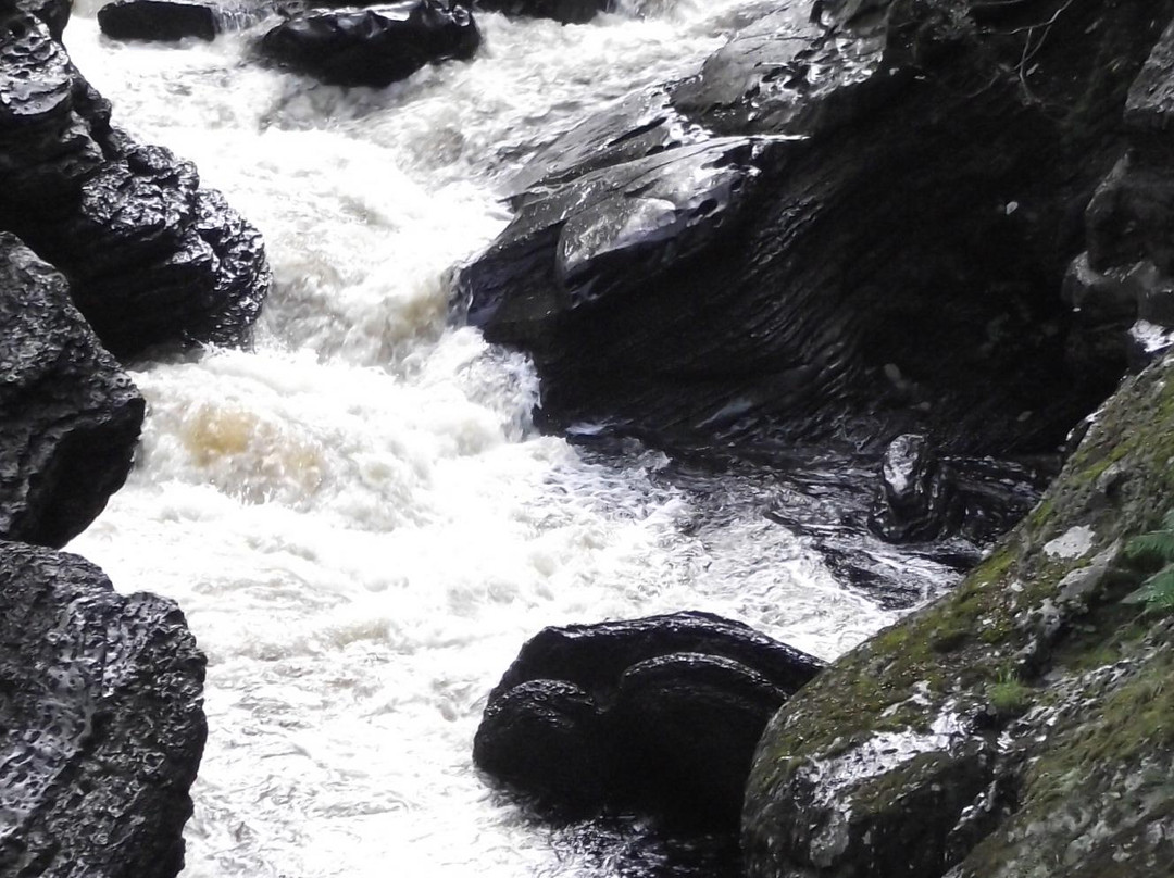 Leven Canyon-Ulverstone必去景点