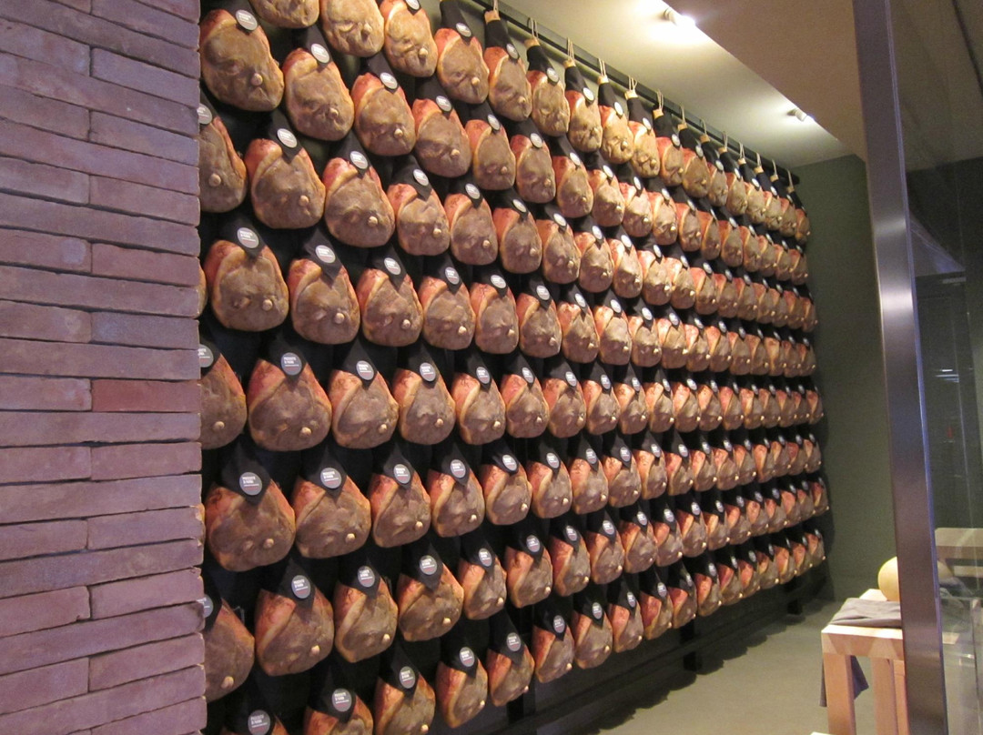 Sol Levante Tour-博洛尼亚必去景点