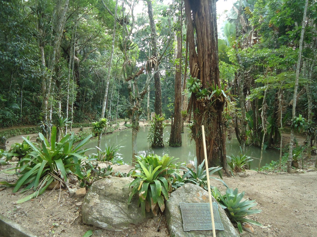 Parque Nacional da Tijuca-里约热内卢必去景点