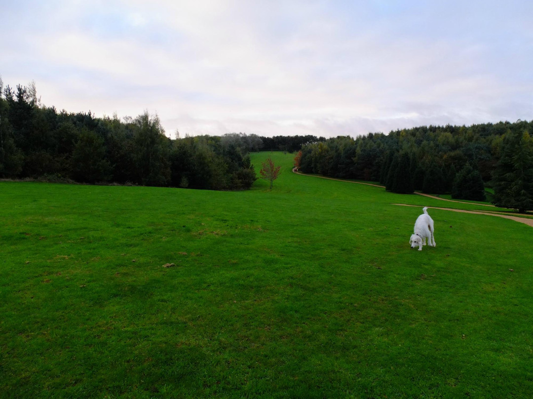 Brackmills Woods Country Park景点图片