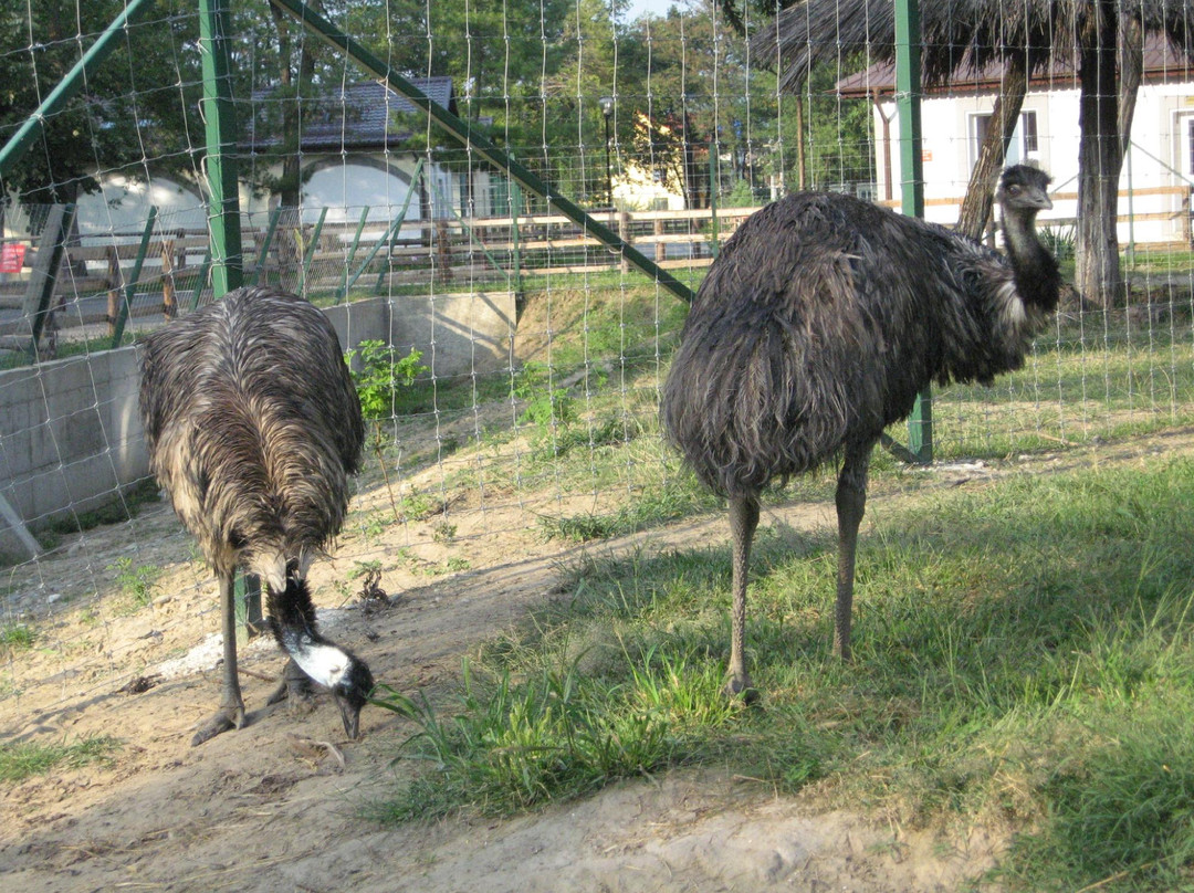 Zoo Ramnicu Valcea景点图片