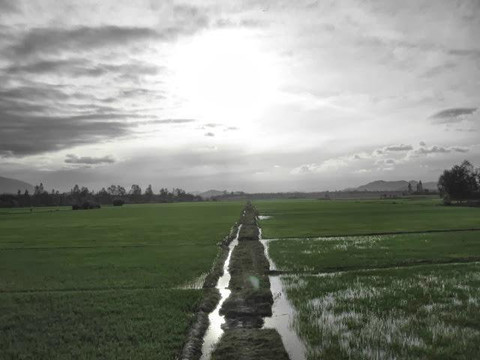 真友摩托车之旅-芽庄必去景点