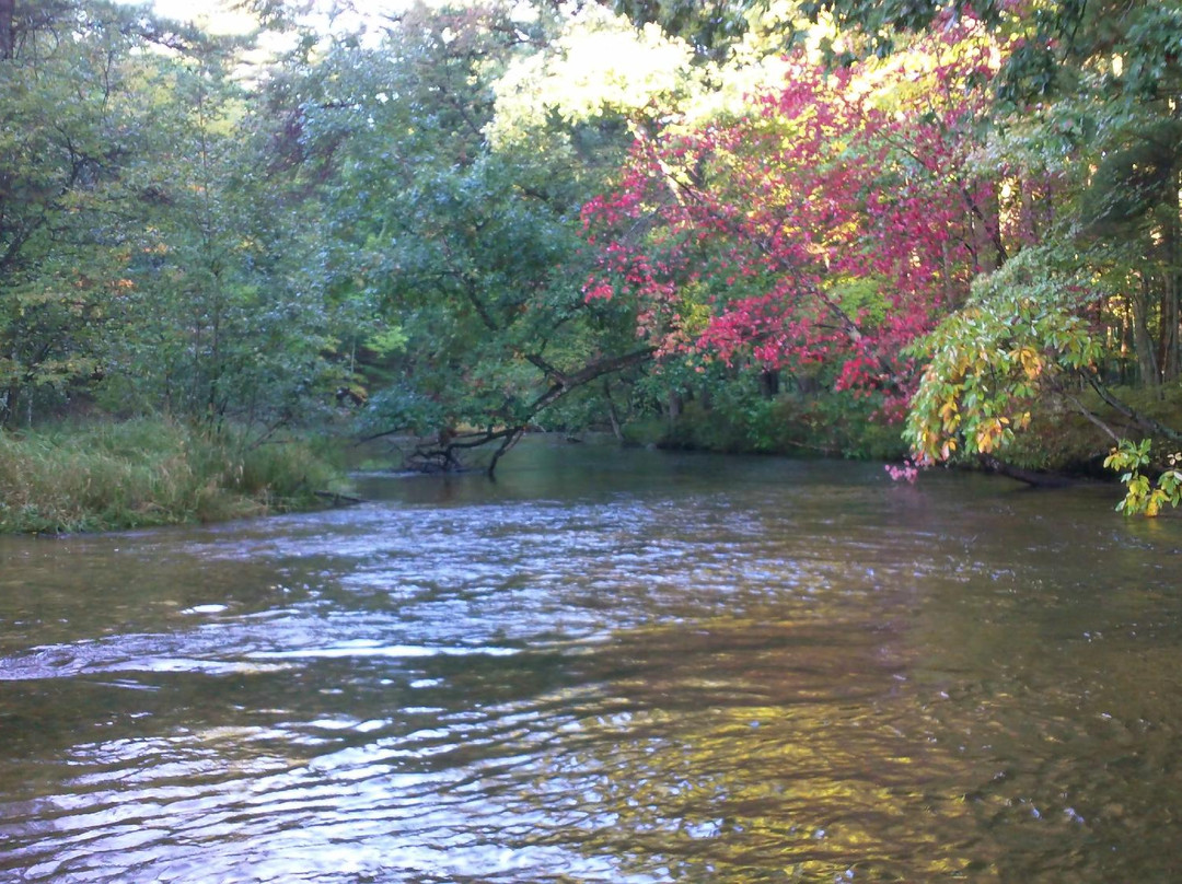 Pere Marquette River Lodge主图