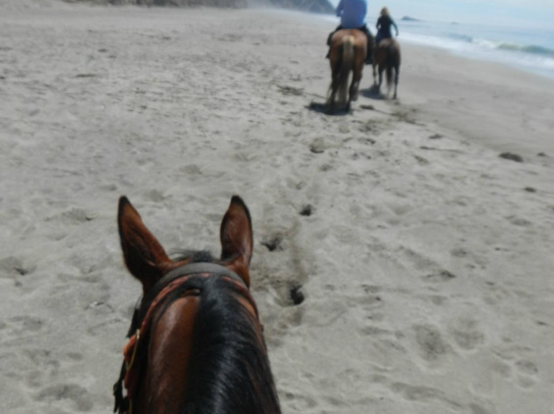 Five Brooks Stables-Olema必去景点