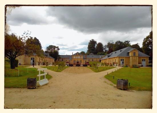 Haras National de Pompadour景点图片