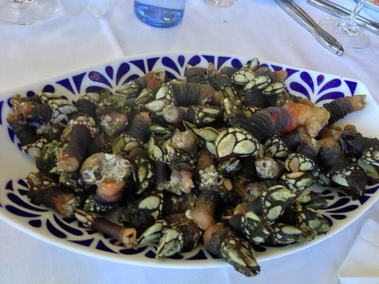 Maside旅游攻略图片