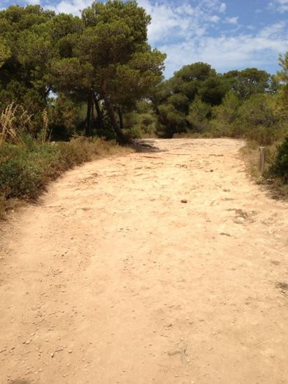 Cala Macarelleta-米诺卡必去景点