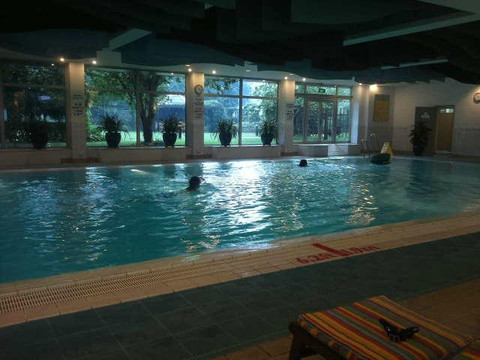 皇家大饭店主图