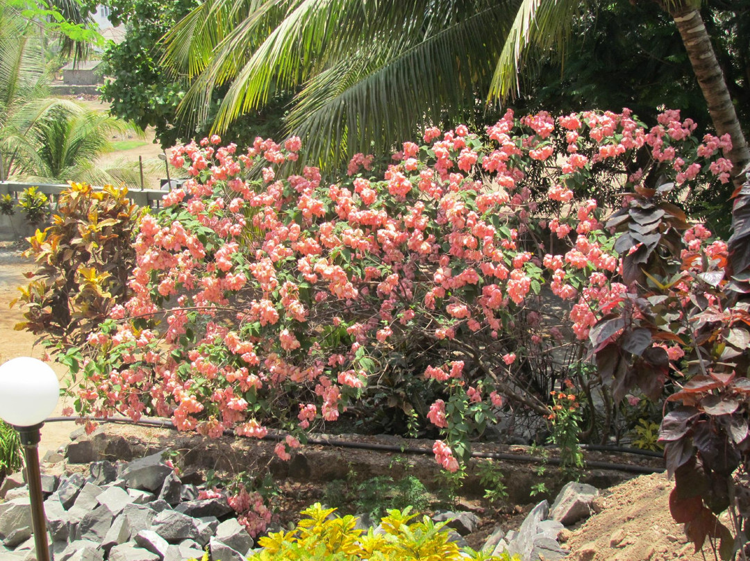 Sai Palace Sea View Hill Resort主图