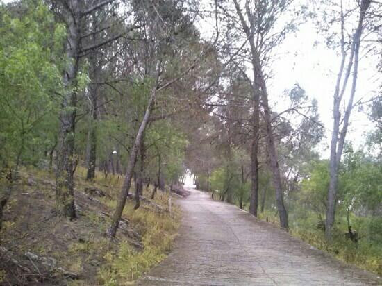 Castillo de Montefrio-蒙特夫里奥必去景点