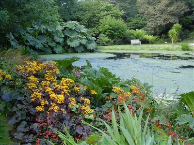Cornwall Garden Tours景点图片