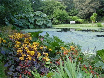 Cornwall Garden Tours-圣奥斯特尔必去景点