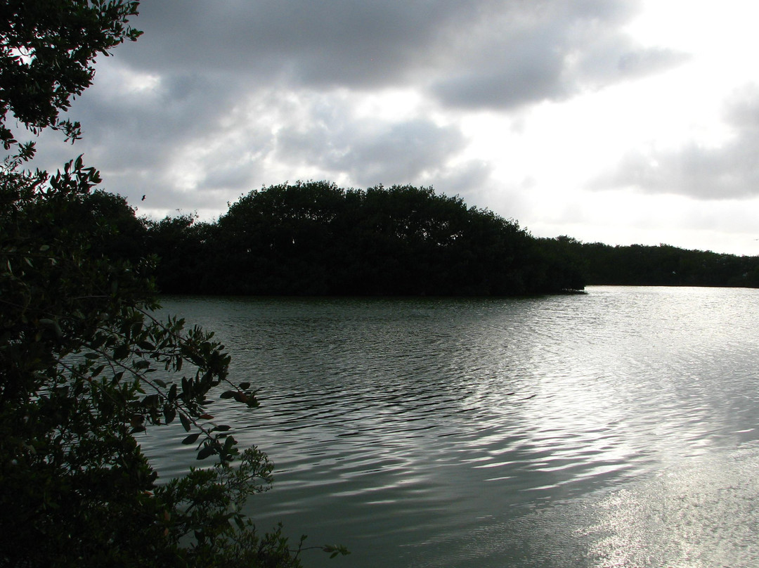Ernest F. Coe Visitor Center-大沼泽国家公园必去景点