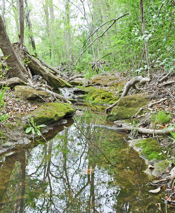 Texas Cotton Gin Museum-Burton必去景点