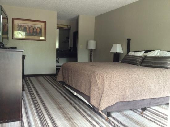 The Lodge Hotel主图