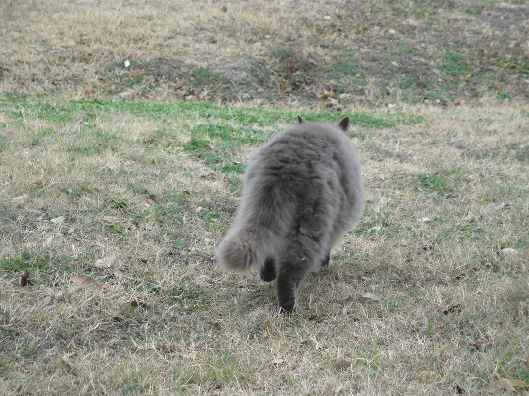 Bella Vista Ranch-Wimberley必去景点