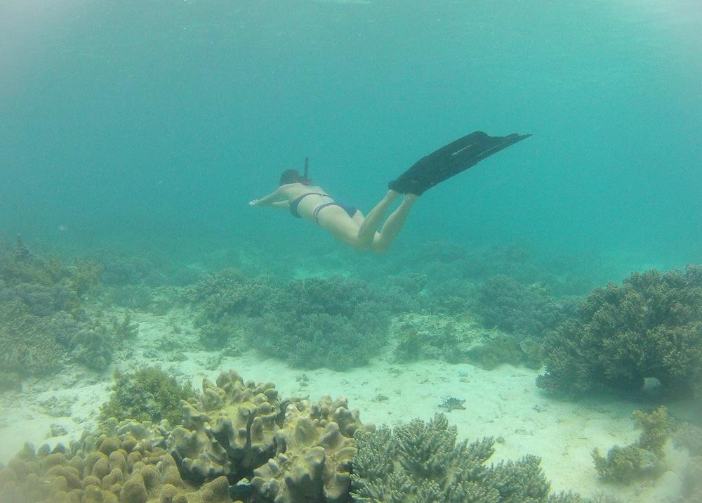 Freedive-Panglao-邦劳岛必去景点