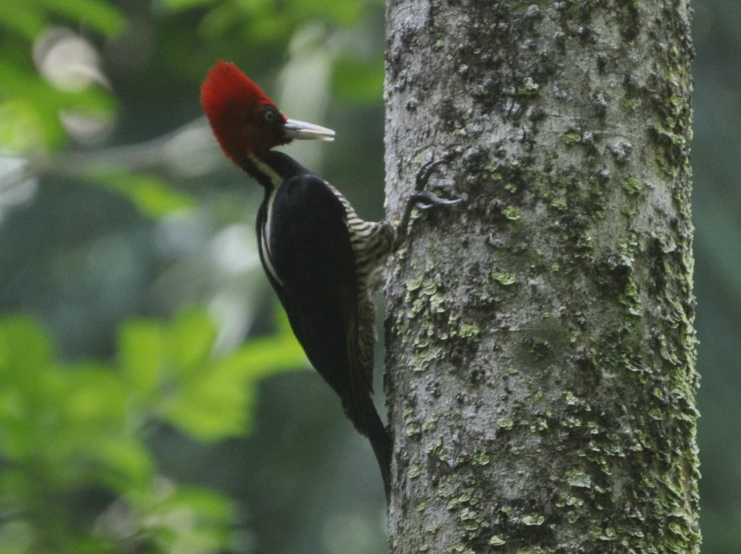 Olingo Surf and Nature Experiences