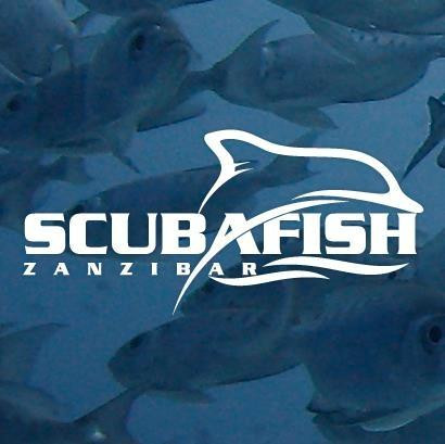 Scubafish Dive Center Ltd-Matemwe必去景点