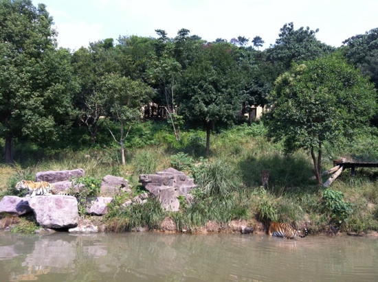宁波动物园-宁波市必去景点