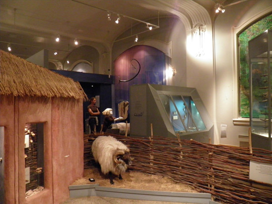 Historical Museum-奥斯陆必去景点