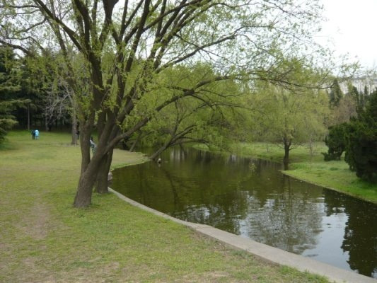 共青森林公园-上海市必去景点