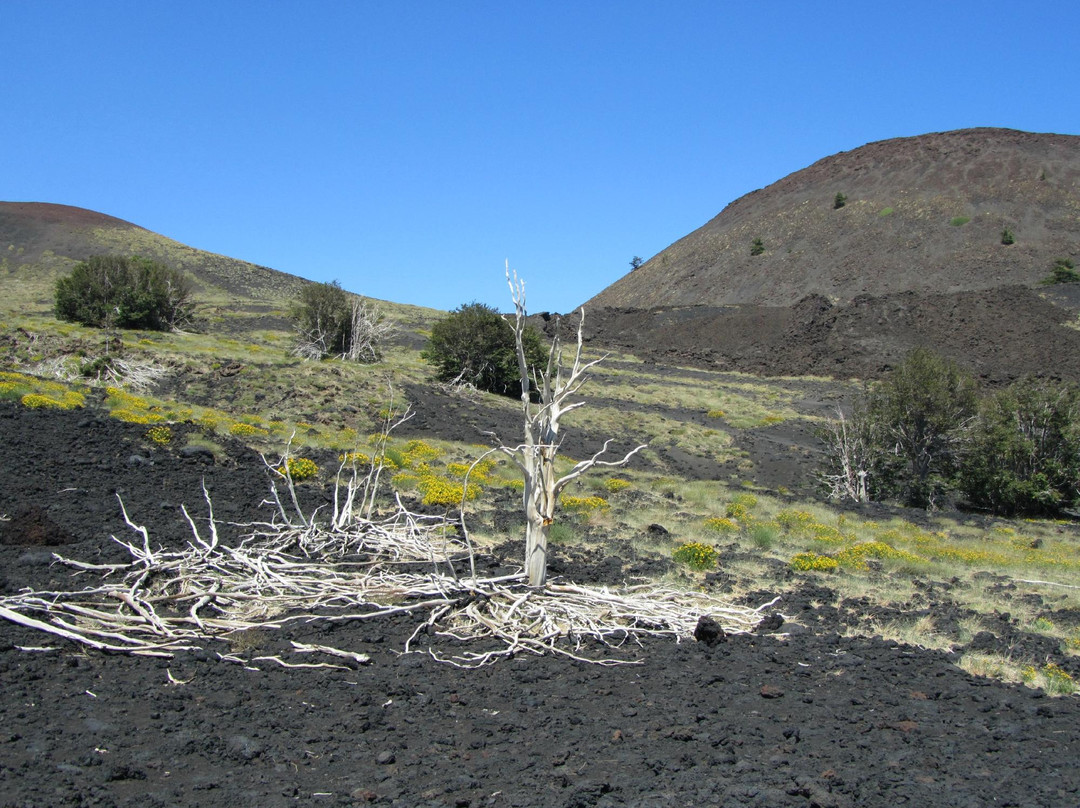 This Is Etna-卡塔尼亚必去景点