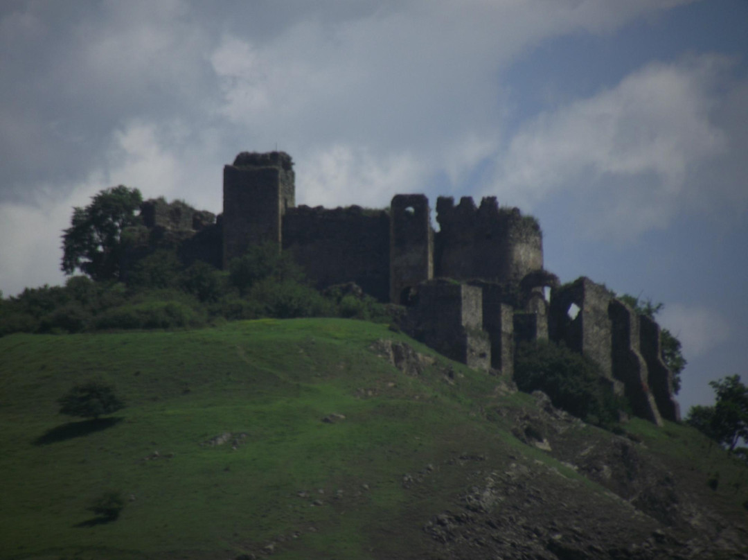 Cetatea Soimos景点图片