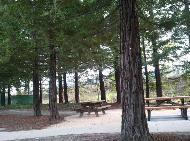 Yountville Park景点图片