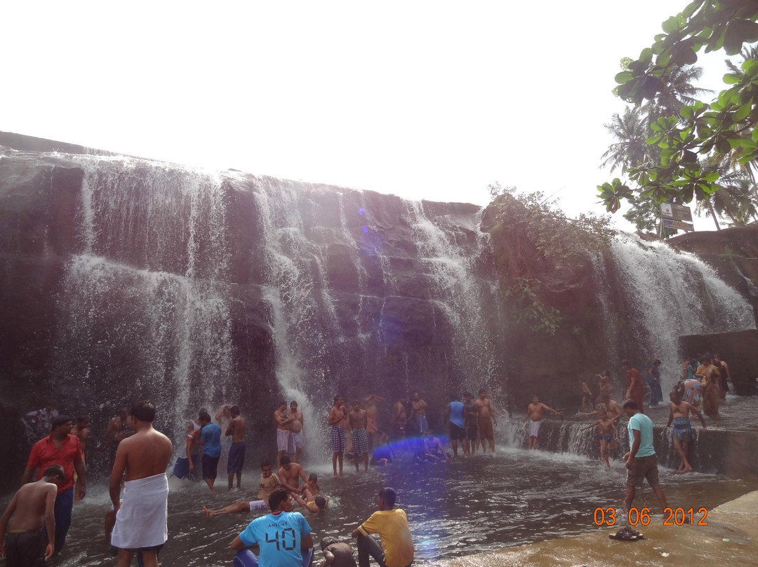 Thirparappu Waterfalls景点图片
