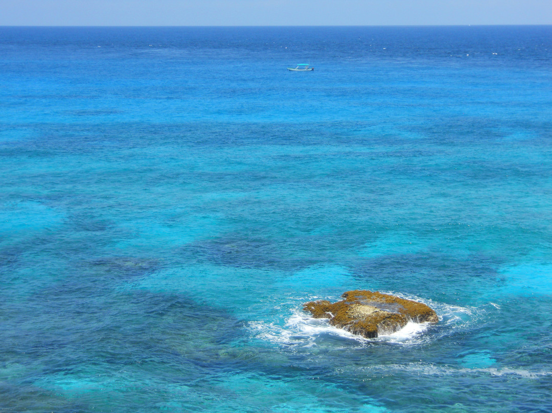 Punta Sur-女人岛必去景点