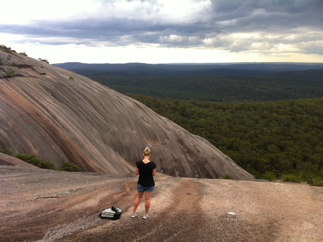 Bald Rock National Park景点图片