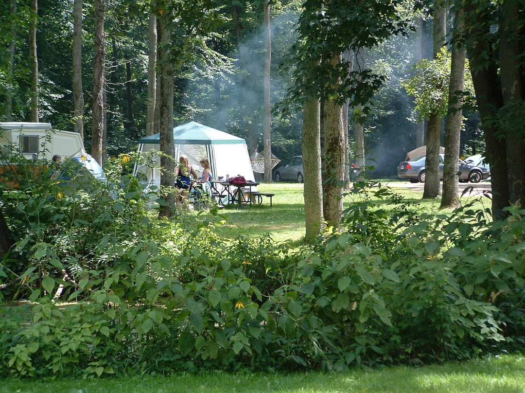 Eby's Pines RV Park & Campground
