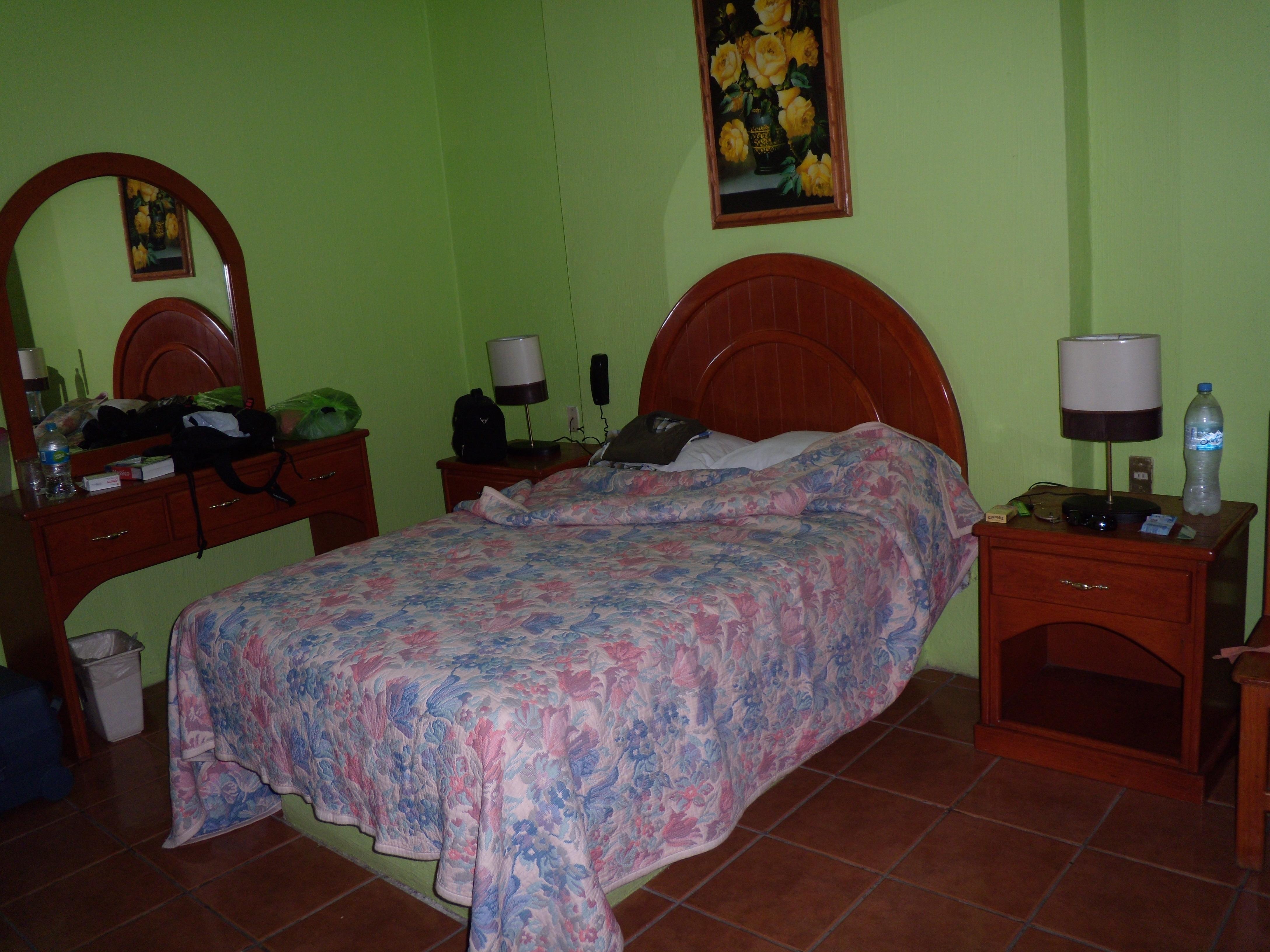 Hotel Posada Del Agave-客卧