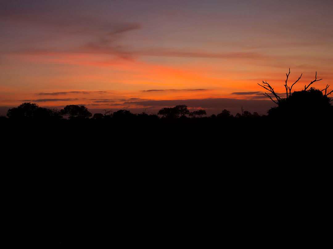 Kruger National Park-尼斯普鲁特必去景点