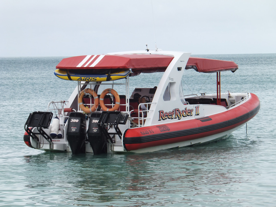 Hamilton Island Reef Ryder Tour-汉密尔顿岛必去景点