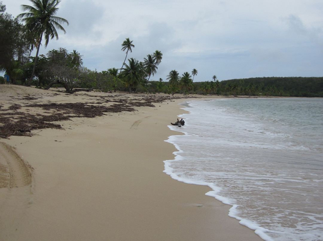 Balneario Sun Bay-Puerto Real必去景点