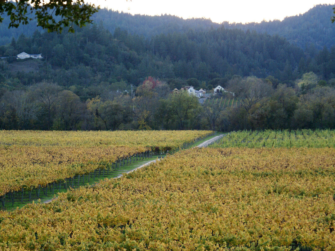 Wilson Winery景点图片