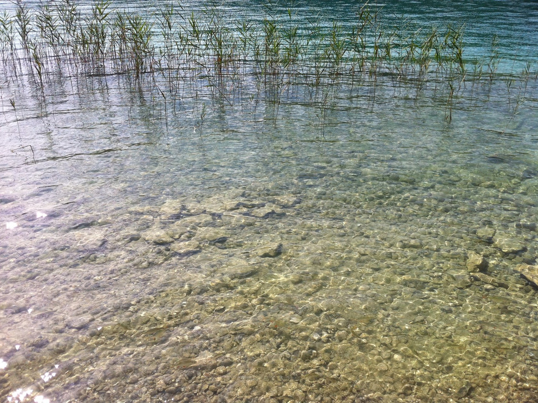 Lake Worthersee景点图片