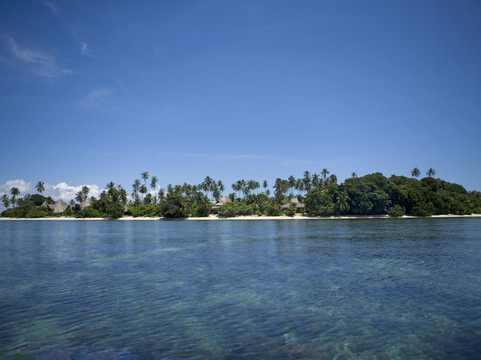 Joyo Island旅游攻略图片