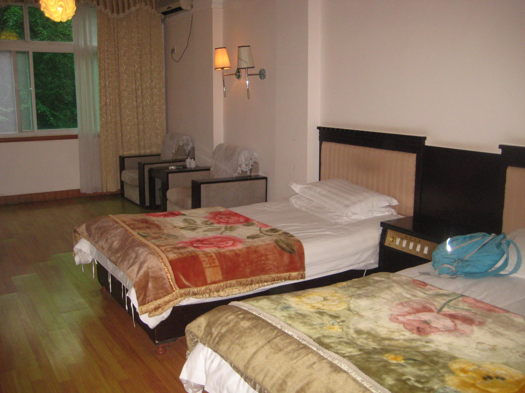 林野大酒店主图