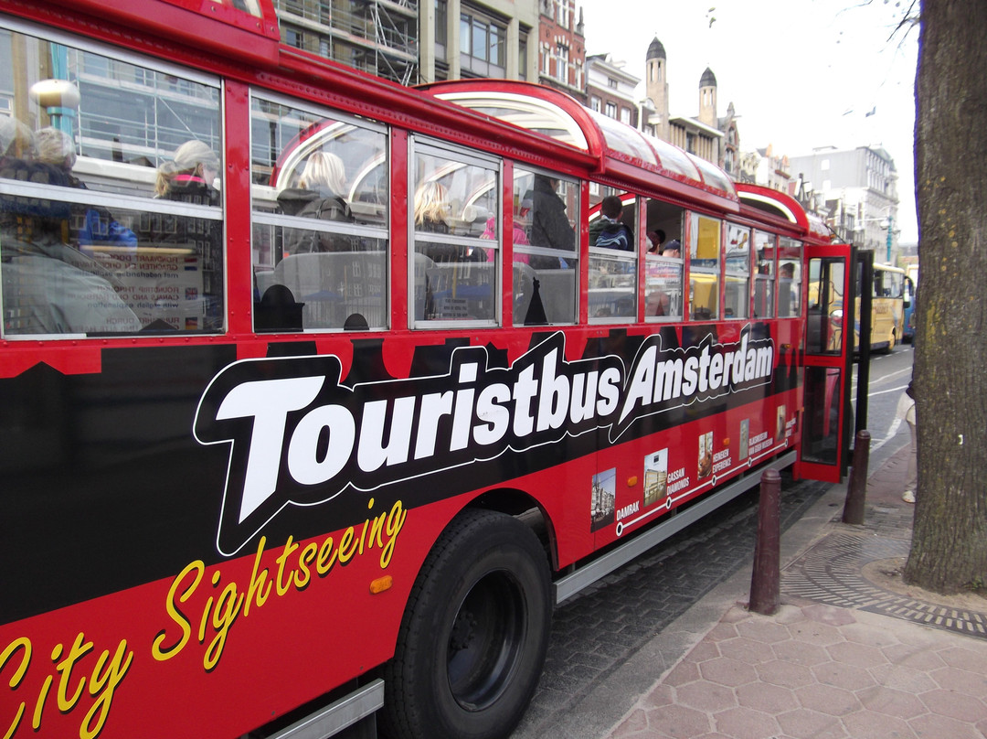 阿姆斯特丹巴士游景点图片