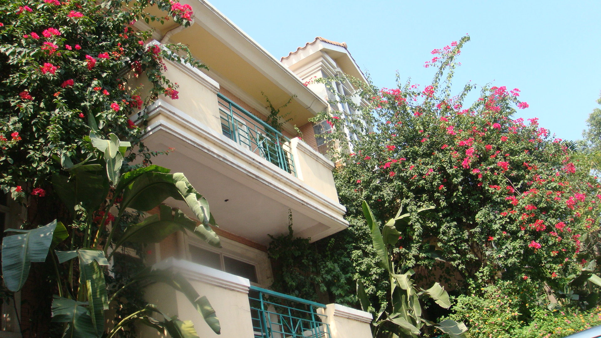 蝴蝶谷酒店-客卧