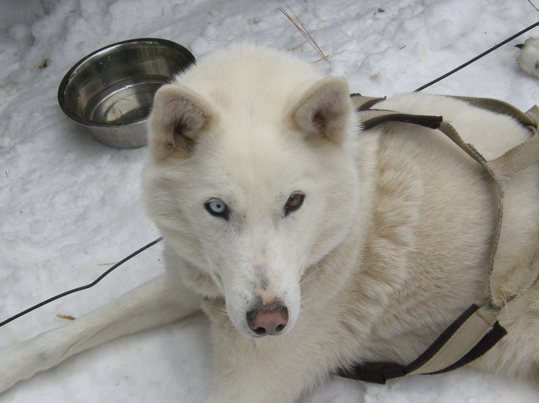 Durango Dog Ranch-杜兰戈必去景点