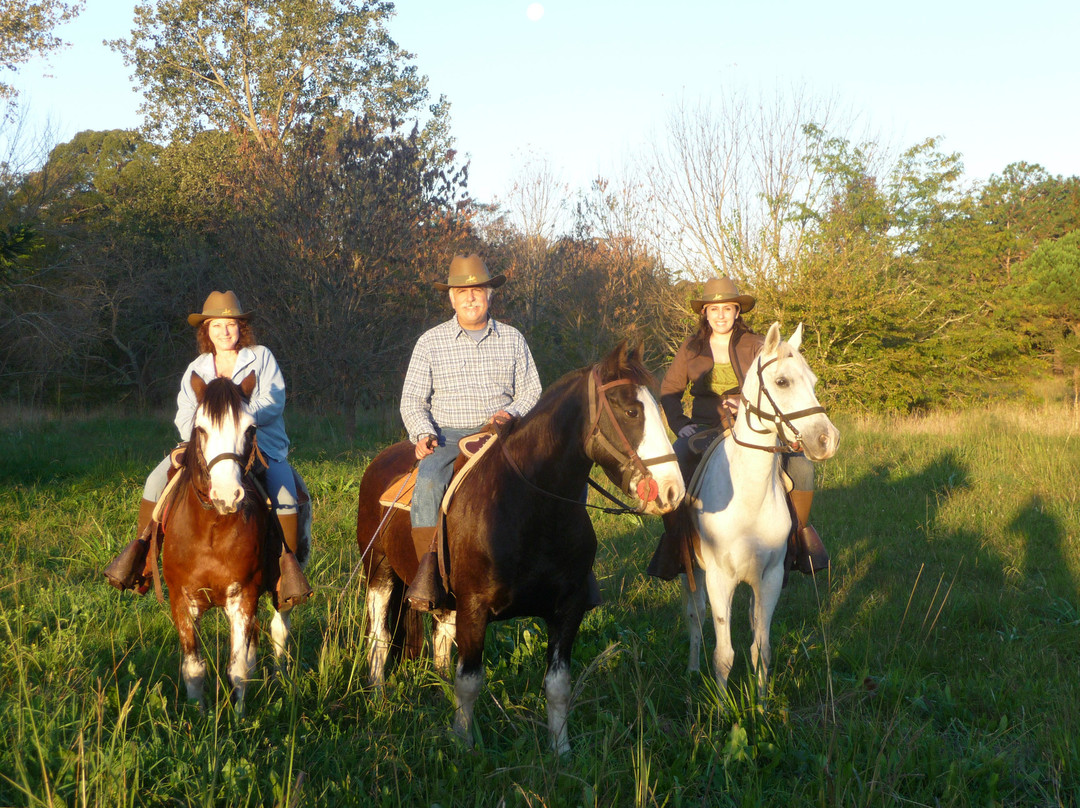 Caballos a la Par-布宜诺斯艾利斯必去景点