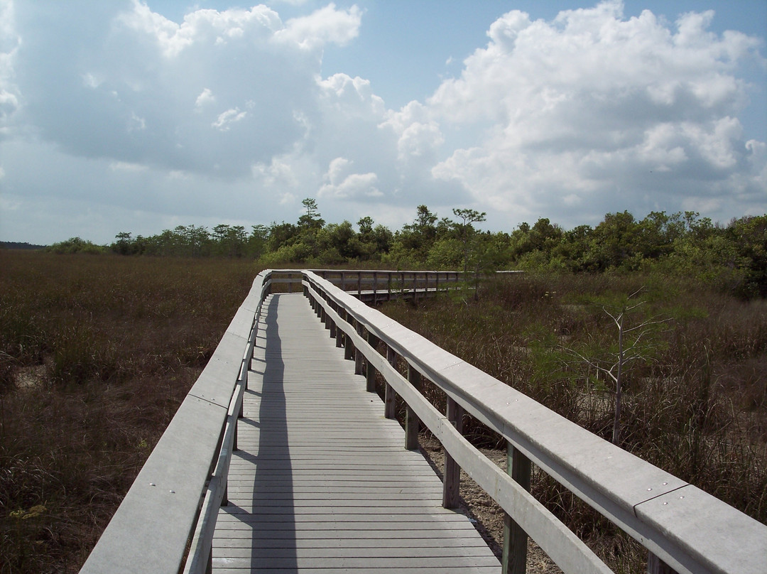 2024年10月Pahayokee Trail景点攻略Pahayokee Trail门票预订地址图片Pahayokee
