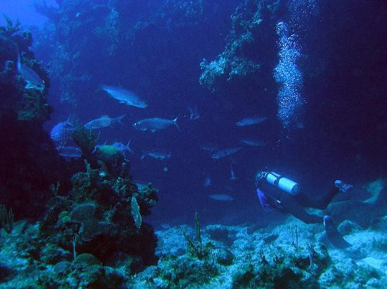 Ocean Frontiers-East End必去景点