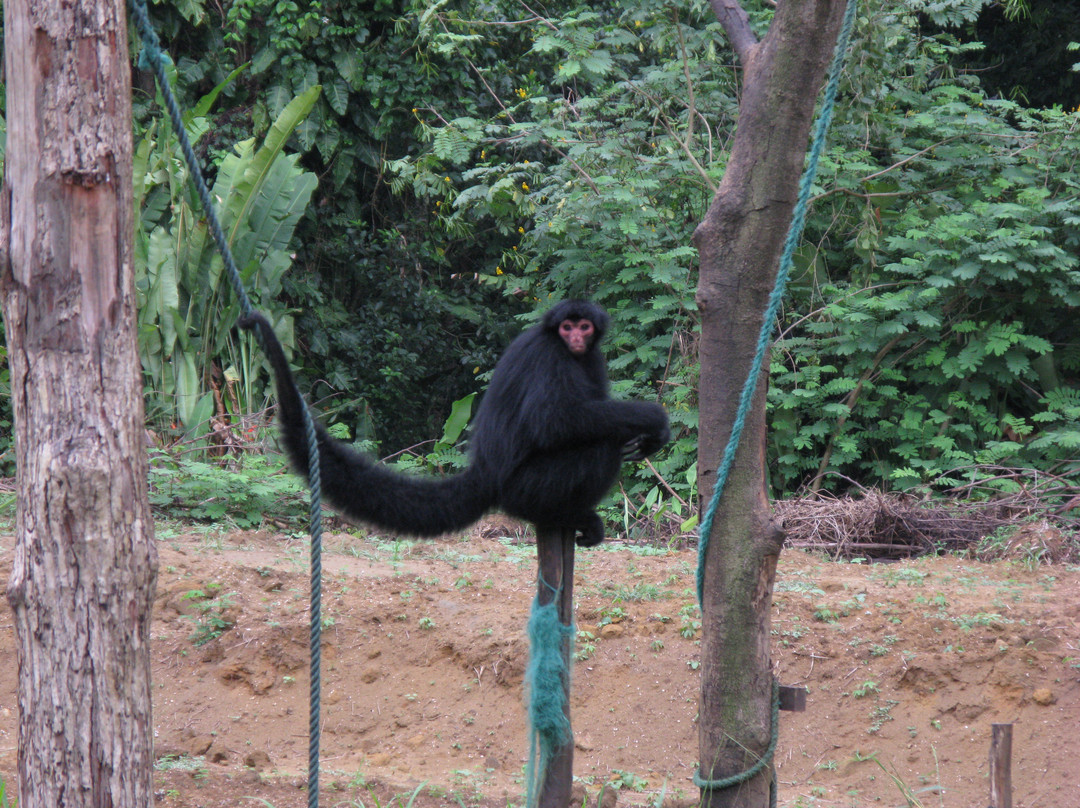 Paramaribo Zoo-帕拉马里博必去景点