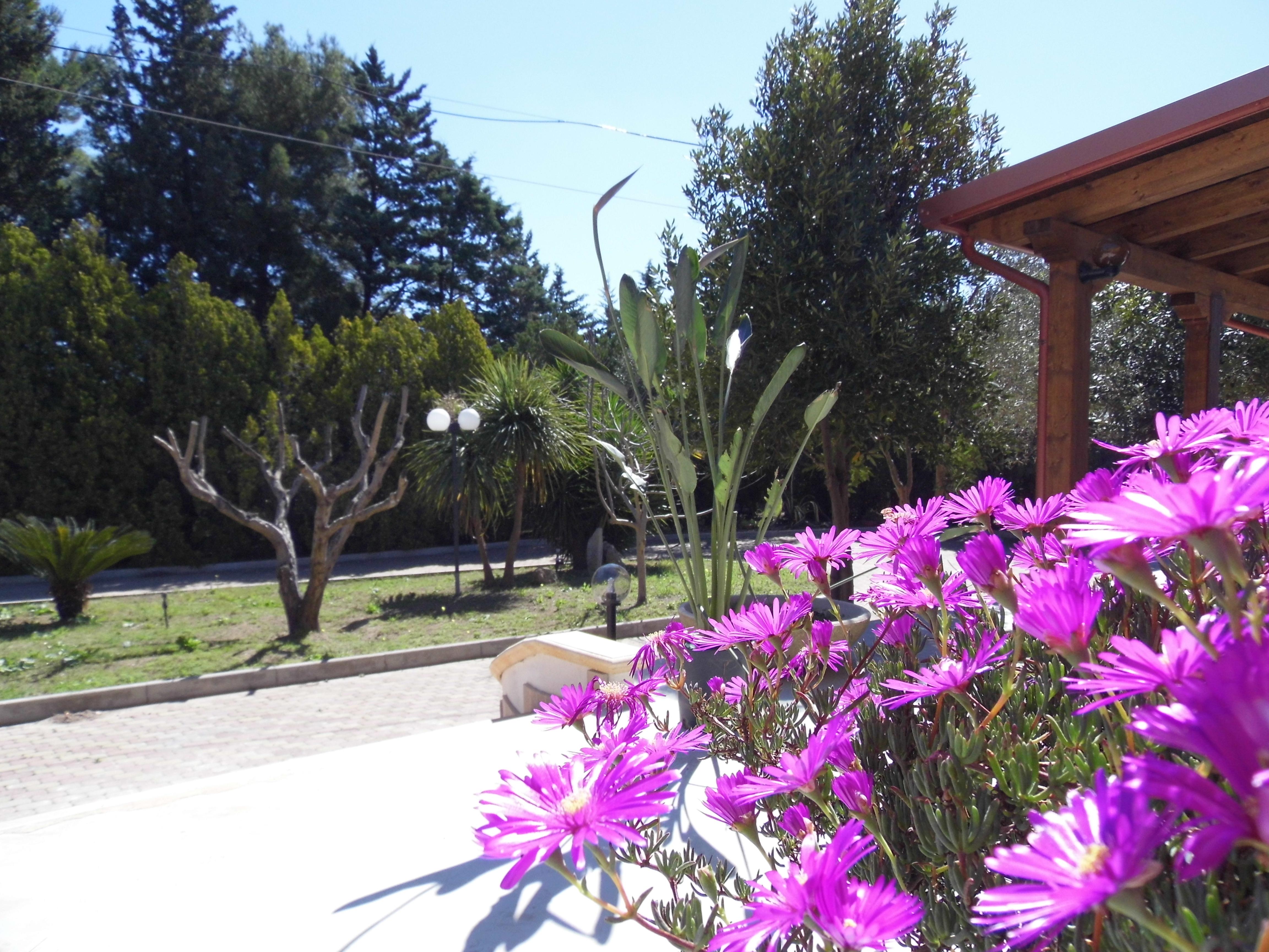B&B Casa dell'Agave-官方
